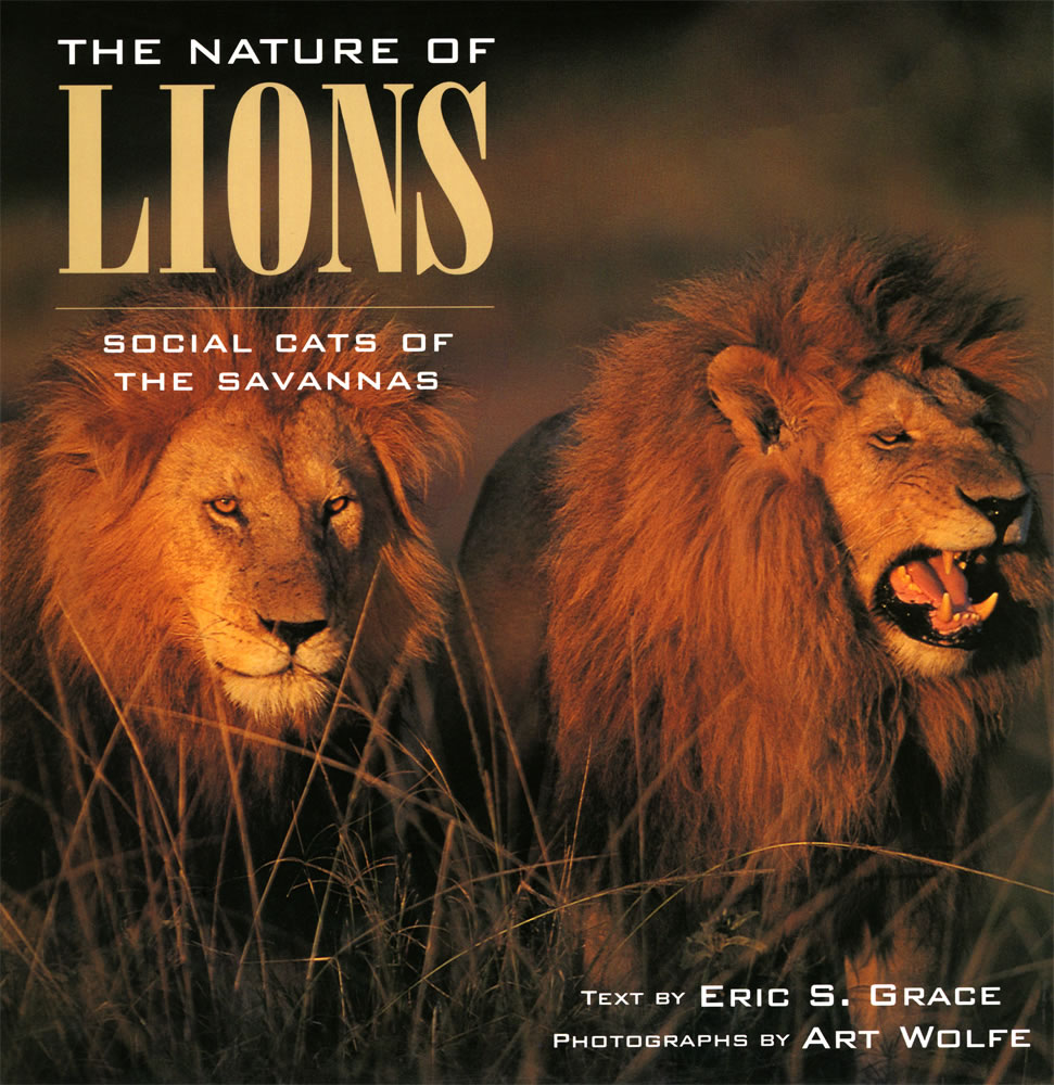 The Nature of Lions