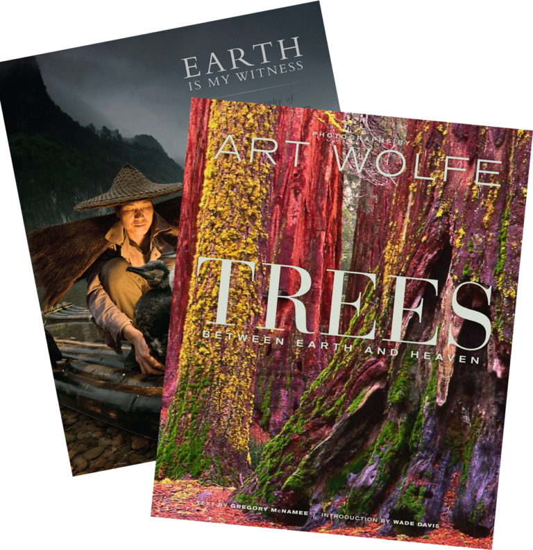 Trees + Earth Is My Witness Bundle