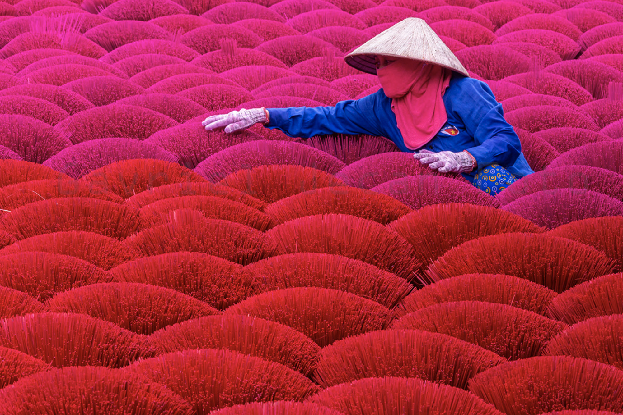 Vietnam Northern Tribes and Landscapes Tour 2025