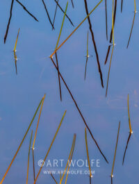 Geometry of Reeds