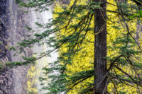 Abstract Columbia River Gorge Workshop 2026 -EARLY BIRD SPECIAL-
