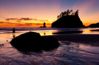 Olympic Peninsula Spring Small Group Photography Retreat -EARLY BIRD SPECIAL-