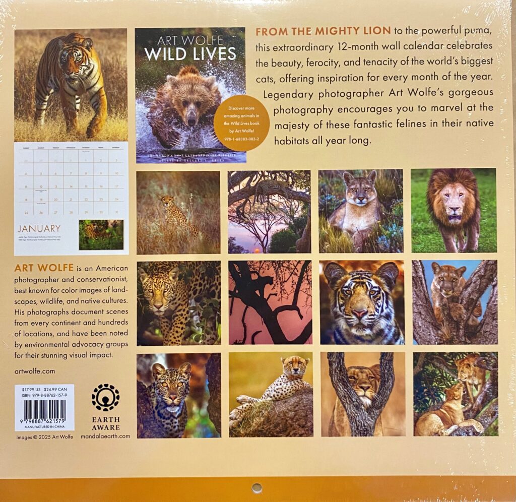 2026 Big Cats Wall Calendar - Image 2