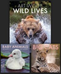 Wild Lives with Gift Calendar