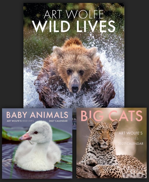 Wild Lives with Gift Calendar