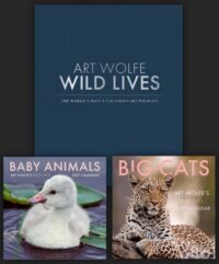 Wild Lives Collector's Edition with Gift Calendar