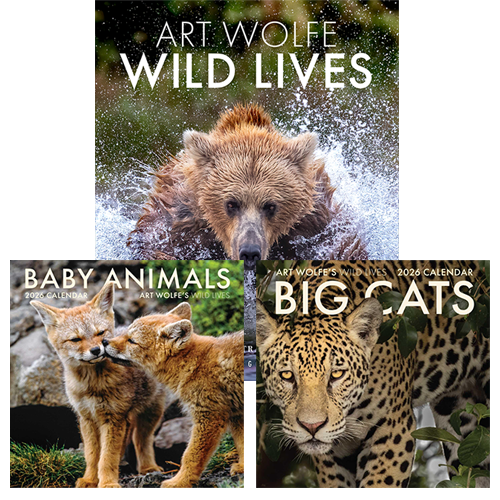 Art Wolfe's Wild Lives plus calendar