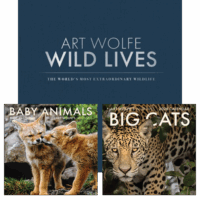 Art Wolfe's Wild Lives Collector's Edition + Gift Calendar