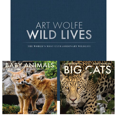 Art Wolfe's Wild Lives Collector's Edition + Gift Calendar