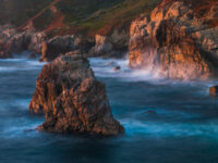 California Coast Photography Retreat: Abstracts and Otters 2027 -EARLY BIRD SPECIAL-