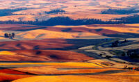 The American Tuscany, Photographing the Golden Rhythms of the Palouse -EARLY BIRD SPECIAL-