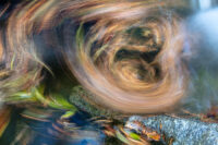 Creative Sessions: Through the Abstract Lens -EARLY BIRD SPECIAL!-