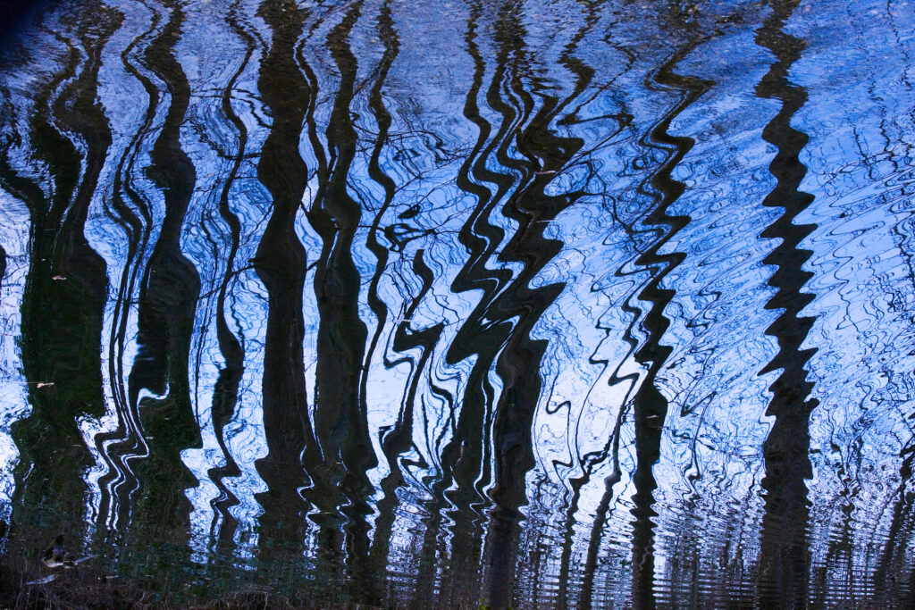 Creative Sessions: Through the Abstract Lens -EARLY BIRD SPECIAL!-