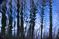 Creative Sessions: Through the Abstract Lens -EARLY BIRD SPECIAL!-