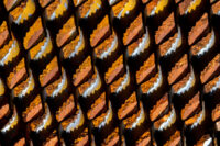 Abstract Astoria Photography Retreat 2027 -EARLY BIRD SPECIAL-