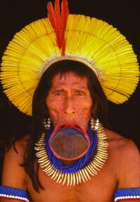 Kayapo Elder