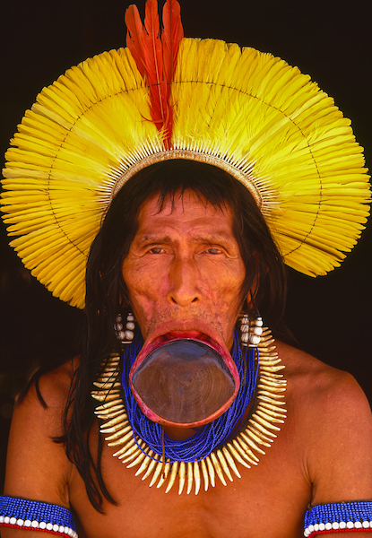 Kayapo Elder