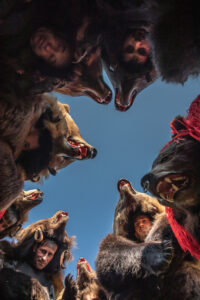 Bear Dancers